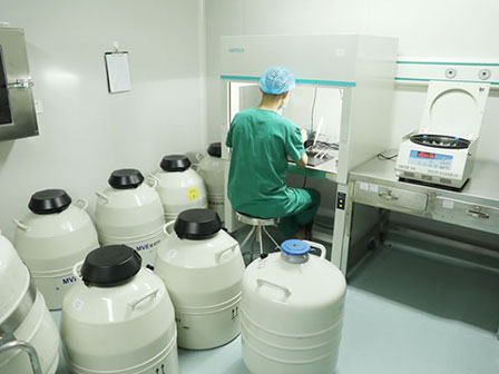 美国MVE液氮存储罐技术设备